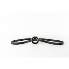 176A7/178E2/223A5 - PALIO/DOBLO 1.2 - KIT TENSOR CORREA