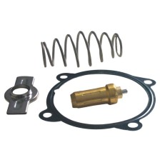 KIT RIPARAZ TERMOST (79°C) CURSOR F - TERMOSTATO