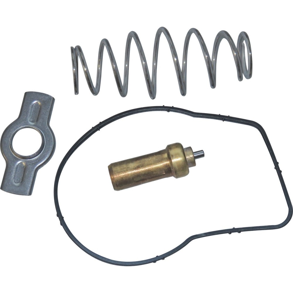 KIT RIPARAZ TERMOST (84°C) CURSOR F - TERMOSTATO