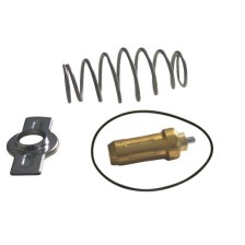 KIT RIPARAZ TERMOST (79°C) CURSOR F - TERMOSTATO