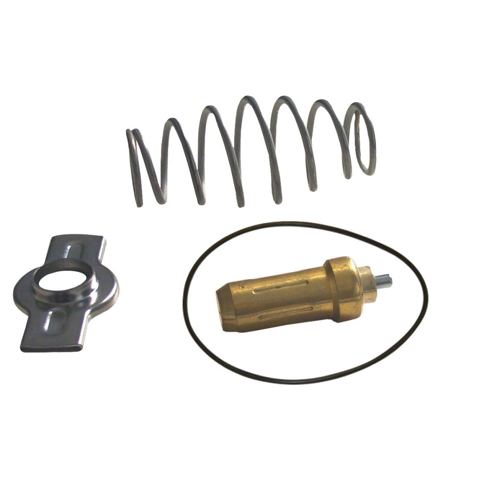 KIT RIPARAZ TERMOST (79°C) CURSOR F - TERMOSTATO