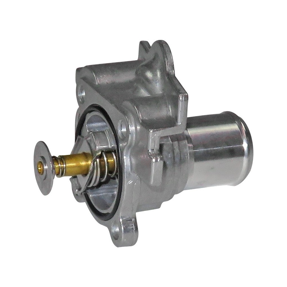 VALV TERMOST DAILY F1A (con gommino - TERMOSTATO