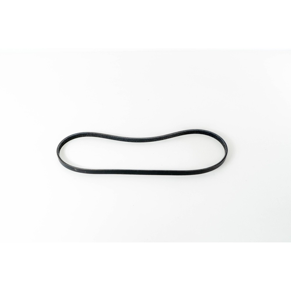 4EPKx1041 POLI-V HEAVYBELT elastica - LEMA 3 - CINGHIE HEAVYBELT