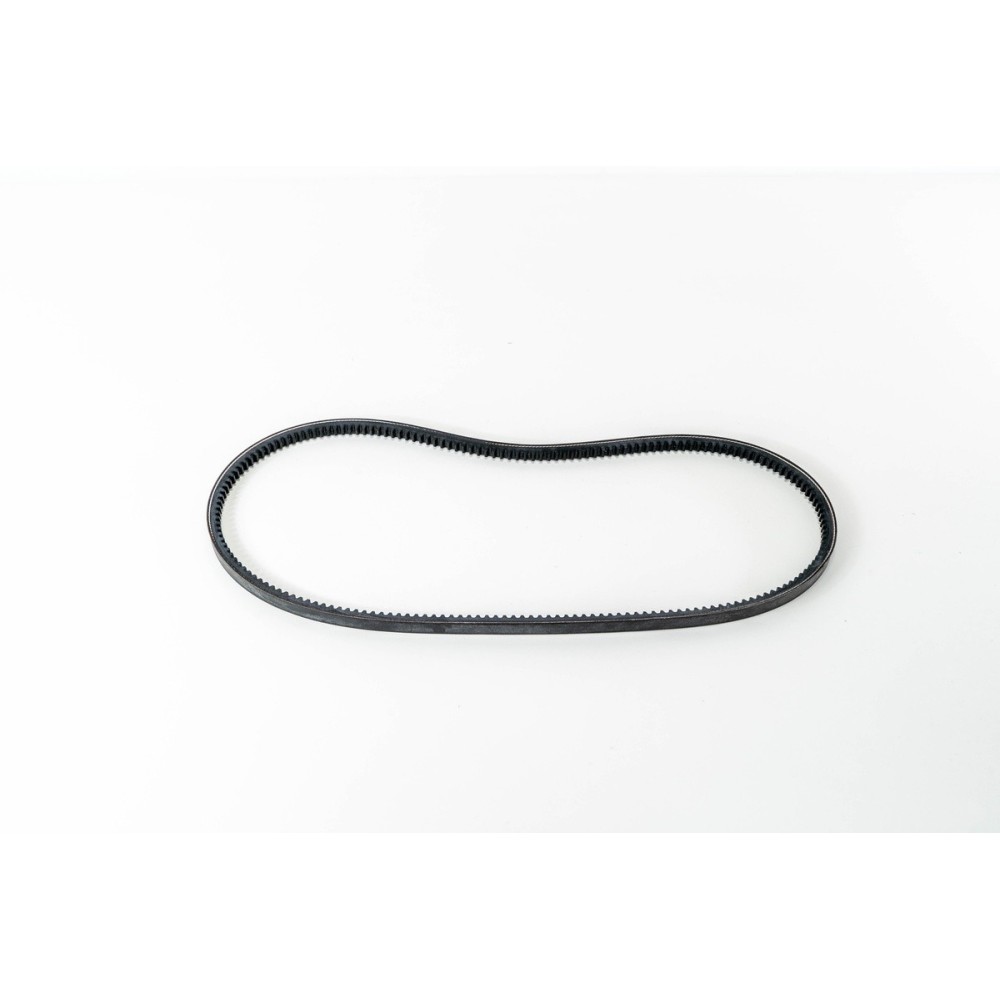 13x1150 AVX HEAVYBELT (1 pcs) - LEMA 3 - CINGHIE HEAVYBELT