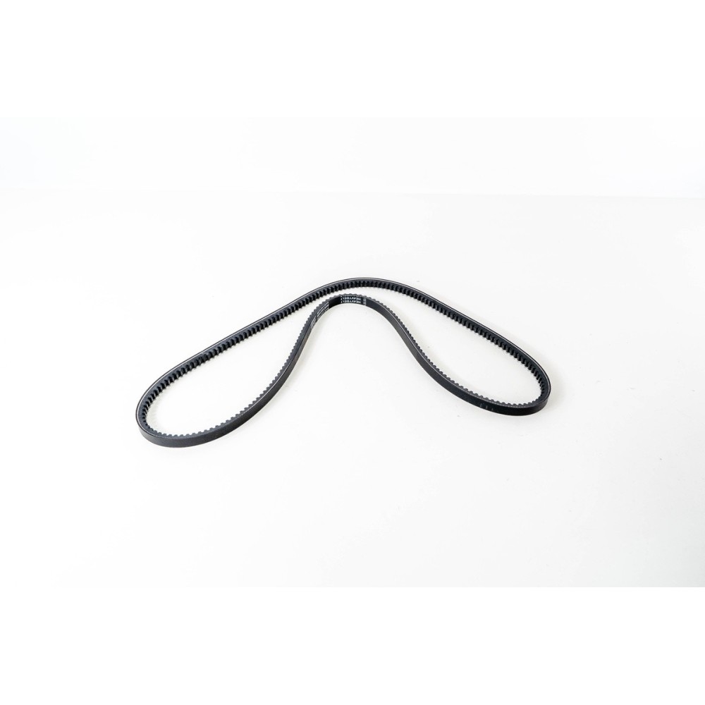 13x1450 AVX HEAVYBELT (1 pcs) - LEMA 3 - CINGHIE HEAVYBELT