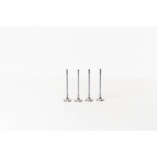 OPEL CORSA 1.0 12V-1.2/1.4 16V GPL - Valvula MEC