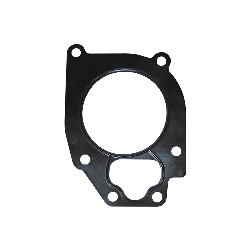 GU CORPO PORTATERM CURSOR STRALIS 2 - LEMA 66 - GUARNIZIONI / GASKETS