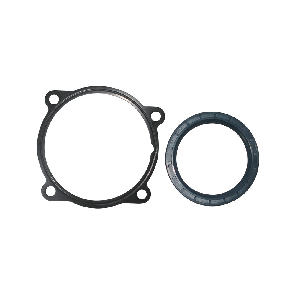 KIT GU+PAR TERMOST 451179 CURSOR F3 - LEMA 66 - GUARNIZIONI / GASKETS