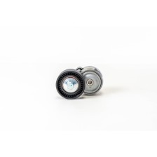 8140.43 S - DAILY I/III - Tensor Correa