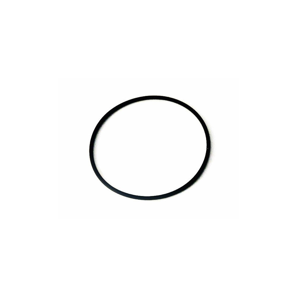 O-RING TURBO STRALIS - 500CV - O-RING