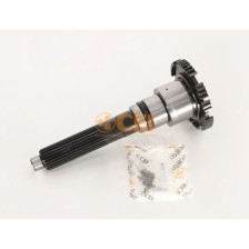 Albero dentrata Z 54