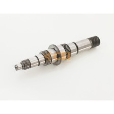 Albero primario (34 Cave)