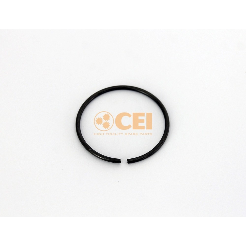 Anello di ritegno UNI7433-A-50