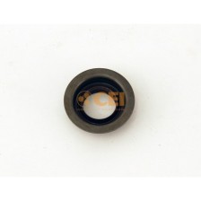 Collare di tenuta D.25x40x15