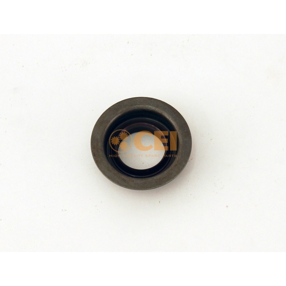 Collare di tenuta D.25x40x15