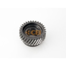 Ingranaggio costante Z 31