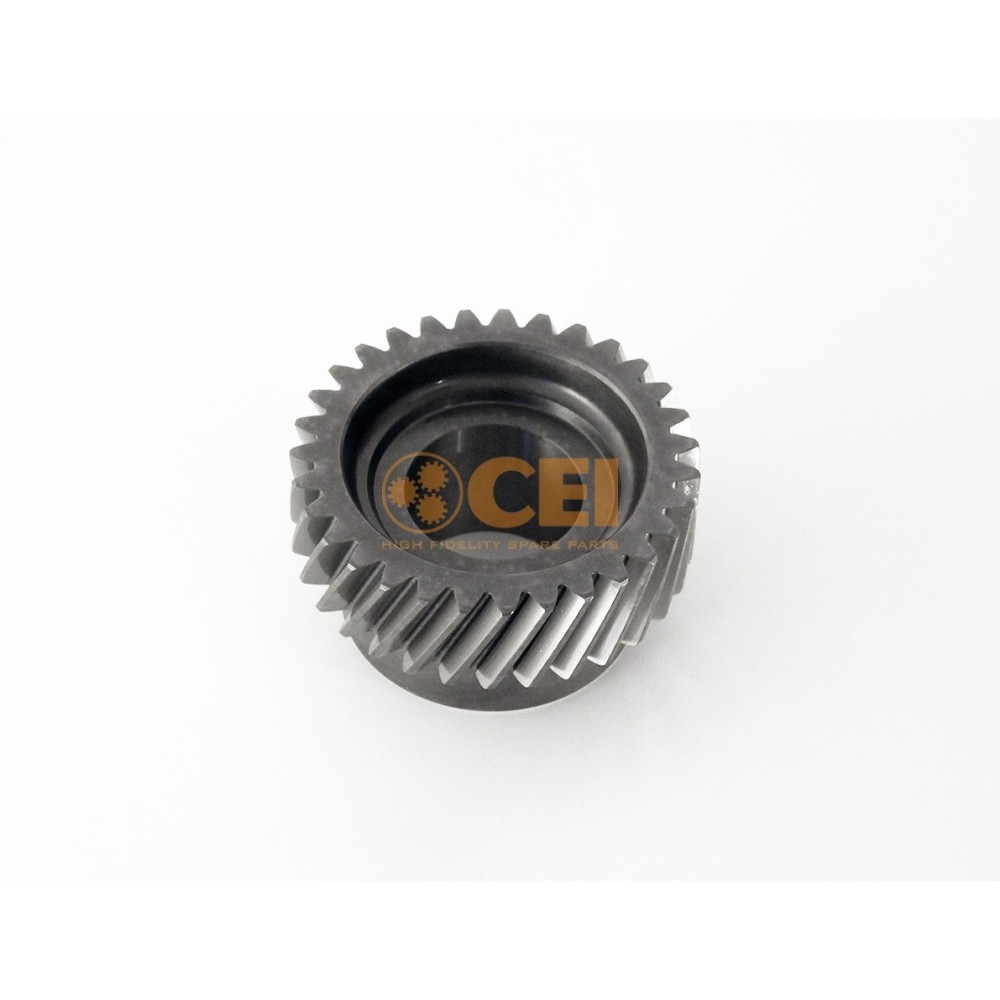 Ingranaggio costante Z 31