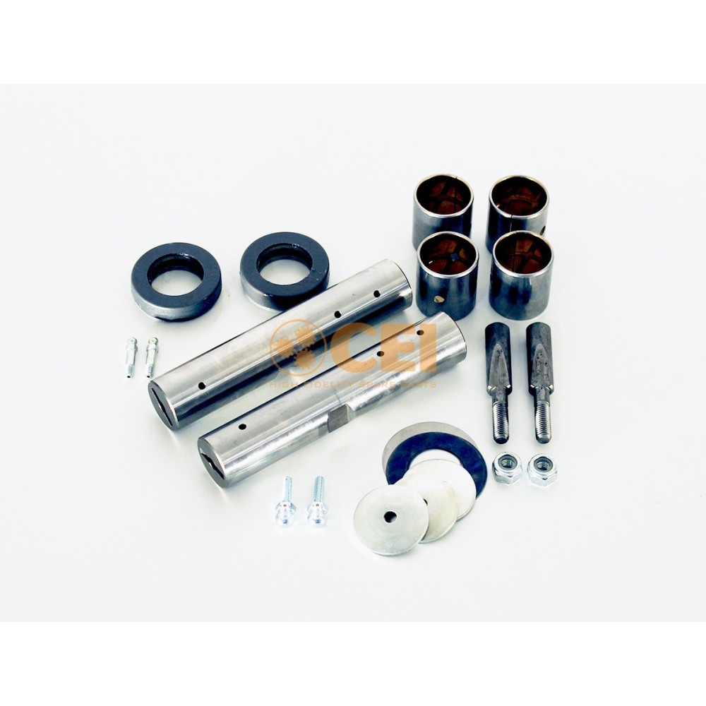 Kit perno fuso (per due ruote)