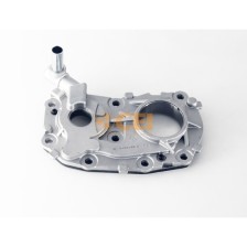 Dispositivo lubrificazione cam