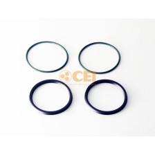 Kit anelli OR e paraoli