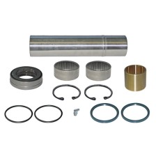 KIT PERNO FUSO (1 RUOTA) DAF LF55 - LEMA 11 - PERNI FUSI / KING PIN SET