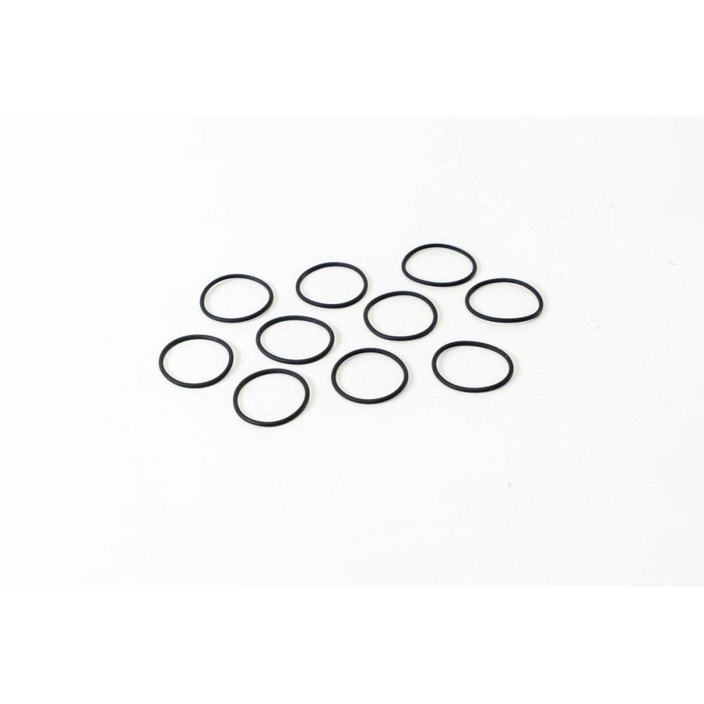 OR INIETTORE 115.17   FPM - LEMA 66 - GUARNIZIONI / GASKETS