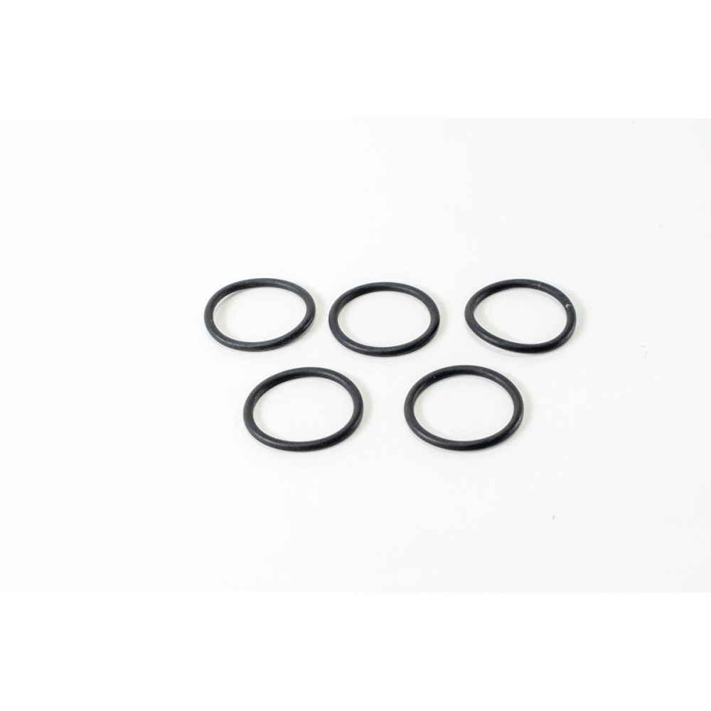 OR INGR POM INIEZ F10   FPM - LEMA 66 - GUARNIZIONI / GASKETS