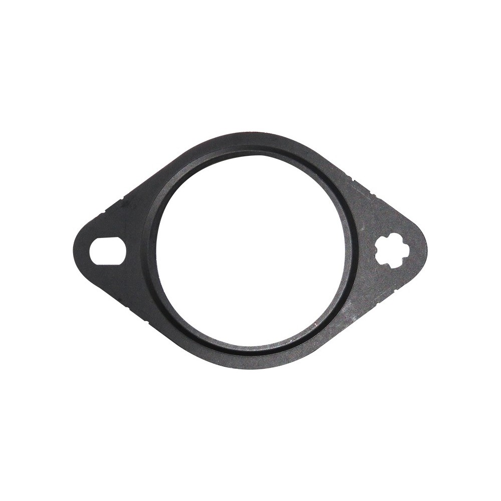 GU SCAR GRUPPO EGR DAILY F1AG 2016 - LEMA 66 - GUARNIZIONI / GASKETS