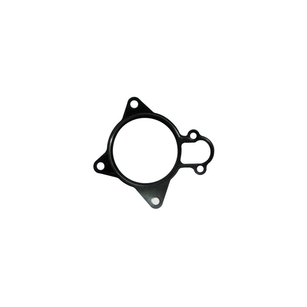 GU ATT POMPA ACQ DAILY F1C   LAM/GM - LEMA 66 - GUARNIZIONI / GASKETS