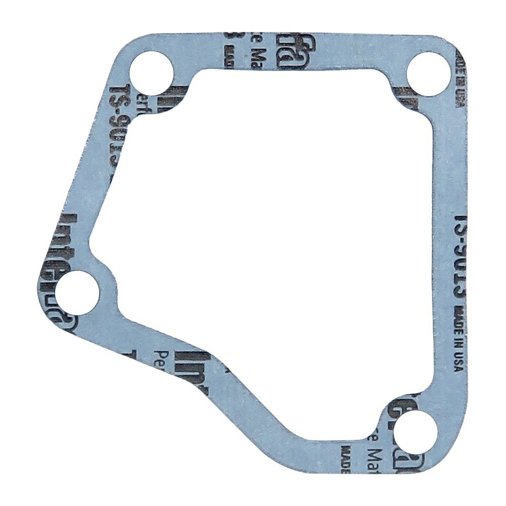GU PORTATERM DAILY T   AMST - LEMA 66 - GUARNIZIONI / GASKETS