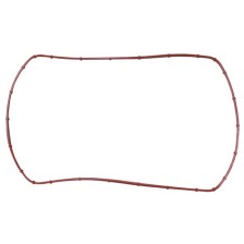 GU CENTRALINA MOT TECTOR   FPM ross - LEMA 66 - GUARNIZIONI / GASKETS