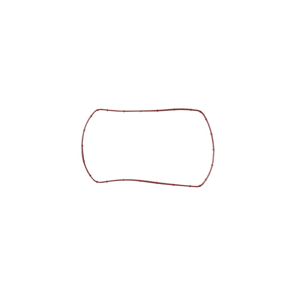 GU CENTRALINA MOT TECTOR   FPM ross - LEMA 66 - GUARNIZIONI / GASKETS