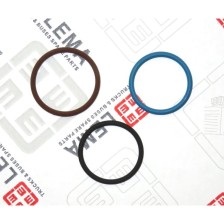 KIT OR INIETTORI CURSOR F2B - LEMA 66 - GUARNIZIONI / GASKETS
