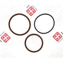 KIT OR INIETTORI CURSOR F3BE3681 - LEMA 66 - GUARNIZIONI / GASKETS