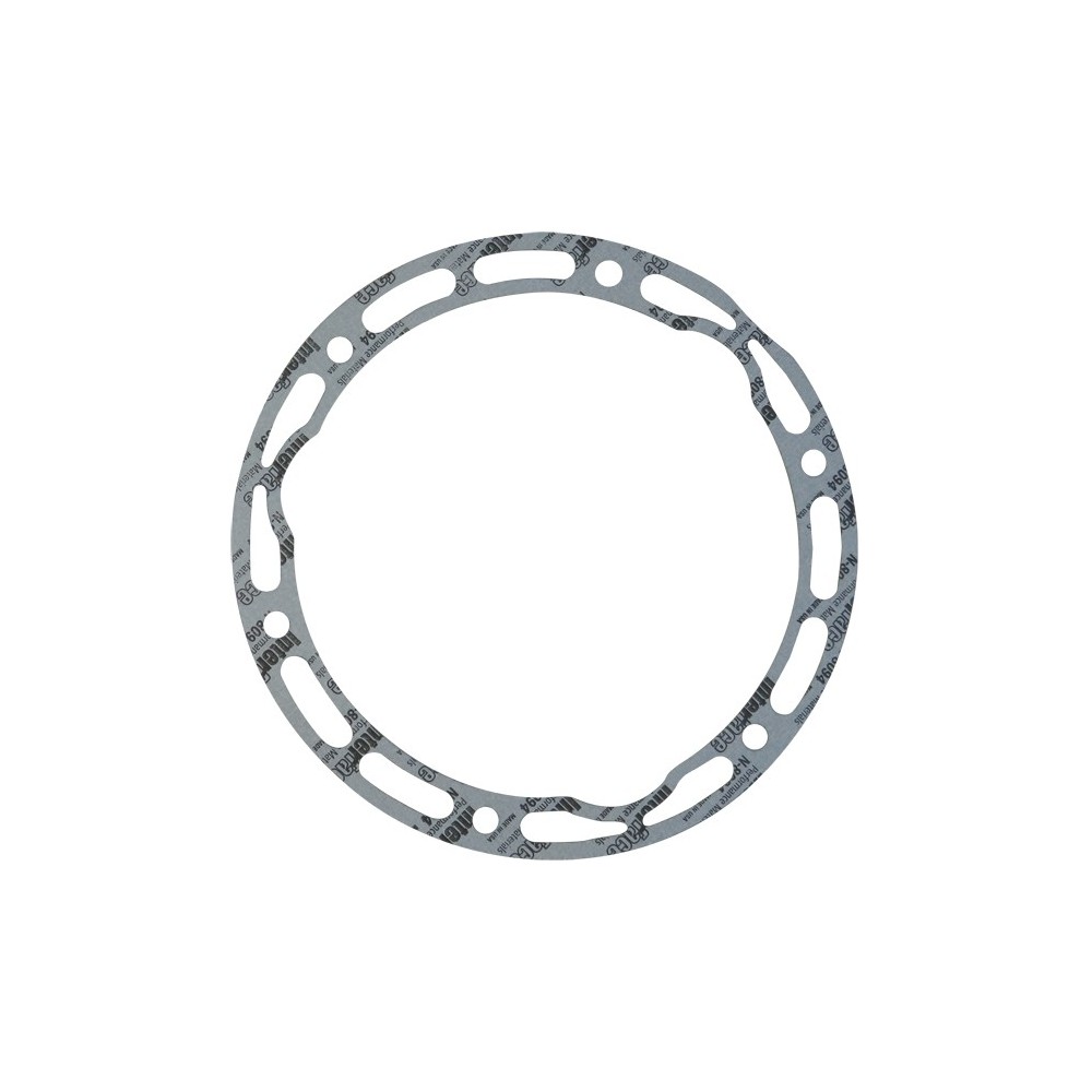 RAGGIERA 190.38   AMS2 - LEMA 66 - GUARNIZIONI / GASKETS