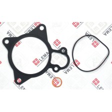 KIT SOST P.A. DAILY C14 F1C - LEMA 66 - GUARNIZIONI / GASKETS