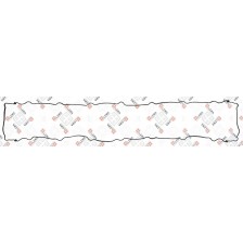 GU COPPA OLIO ACTROS OM471 E6   GM - LEMA 66 - GUARNIZIONI / GASKETS