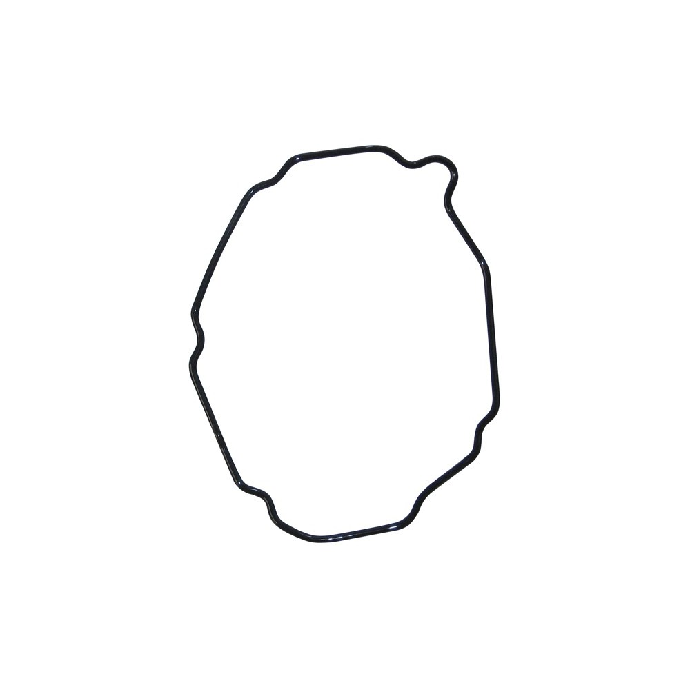 GU POM SERVOST P/G/R DC16   SIL - LEMA 66 - GUARNIZIONI / GASKETS