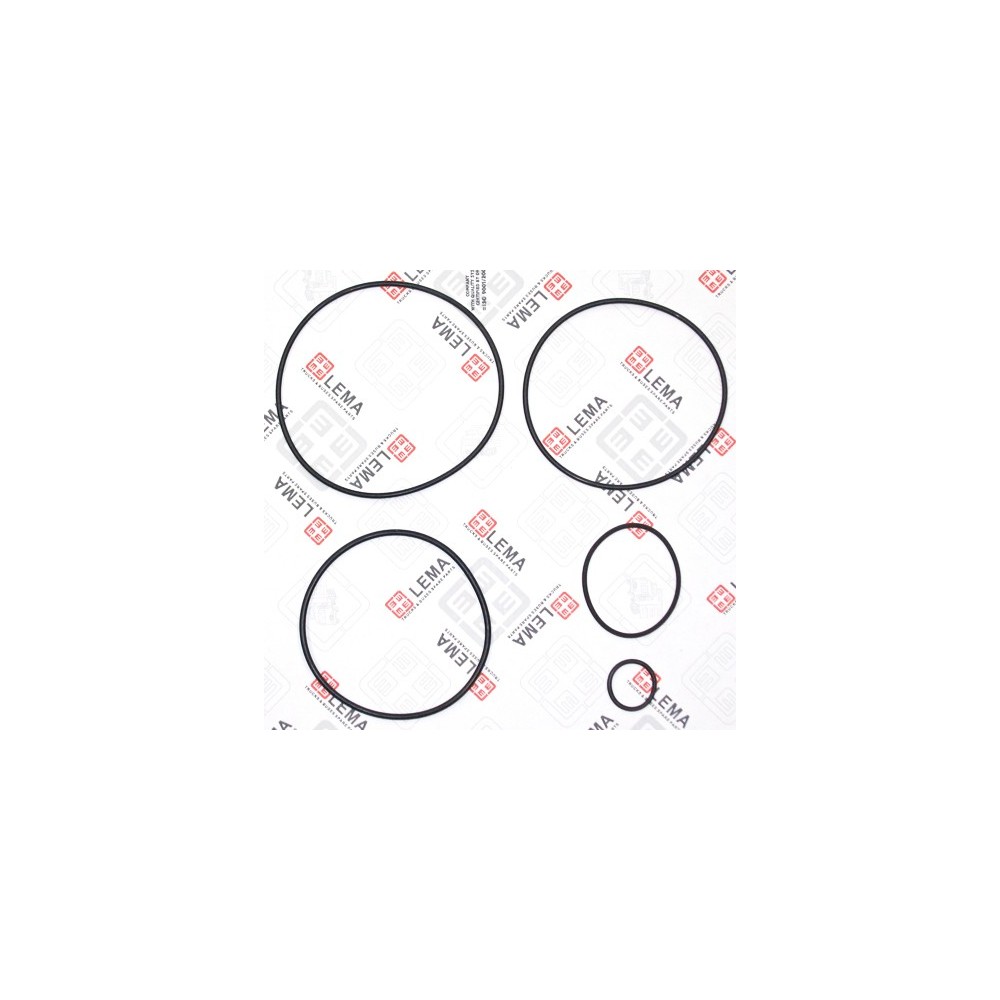 KIT OR CENTRIF/CICLONE 93-113-114-S - LEMA 66 - GUARNIZIONI / GASKETS