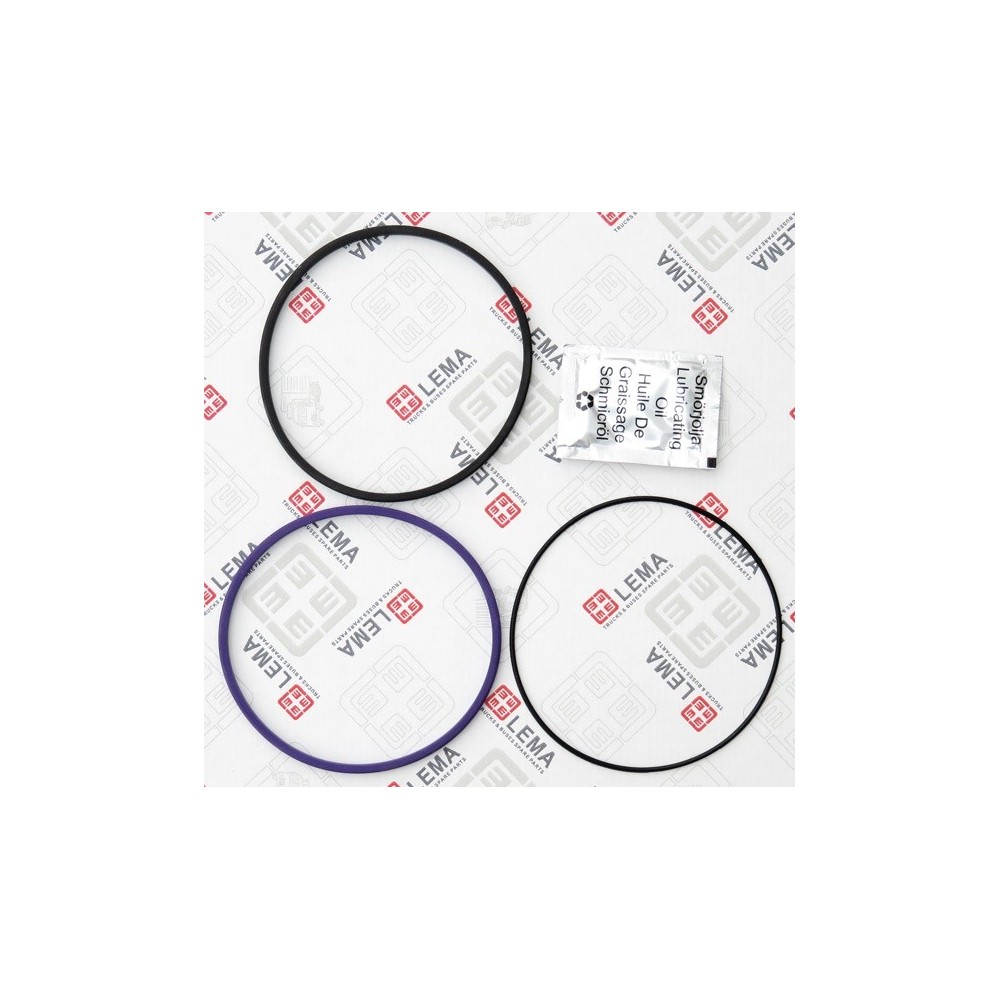 KIT REVIS CANNA CIL D9A/B-D11 FM - LEMA 66 - GUARNIZIONI / GASKETS
