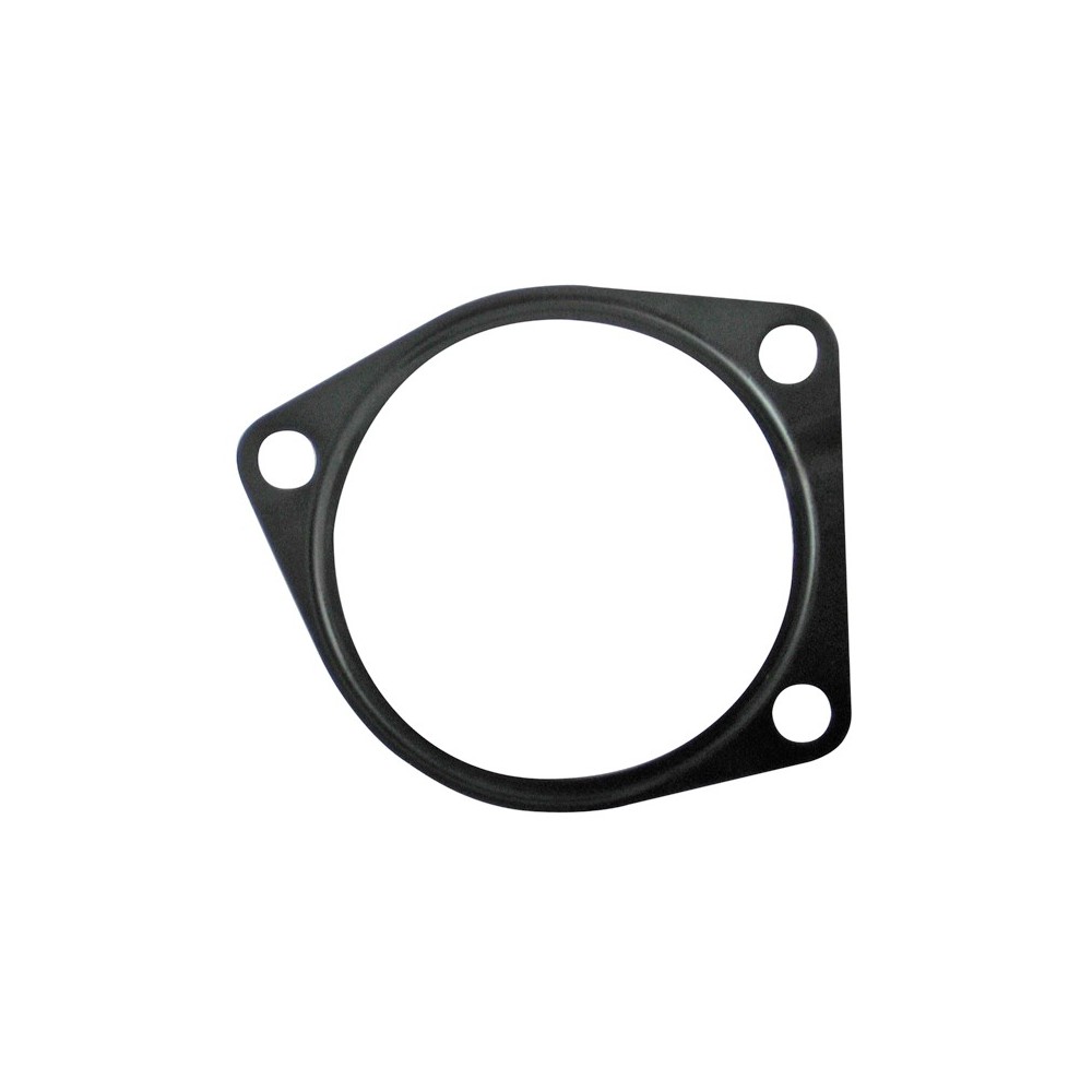 GU SUPP POM OLIO DAILY F1C 2T  LAM/ - LEMA 66 - GUARNIZIONI / GASKETS