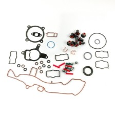 DAZA/DNWA/DNWC/DNWD/DXHA/DXHB - Junta parte alta con Junta culata