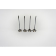 F1C - E6 - DAILY 3.0 M.Y.2022 GAS - Valvula MEC