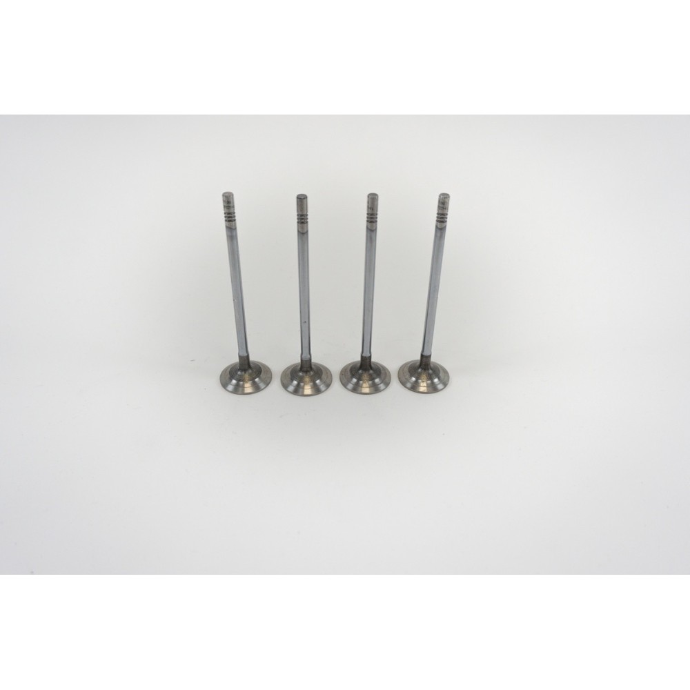 F1C - E6 - DAILY 3.0 M.Y.2022 GAS - Valvula MEC