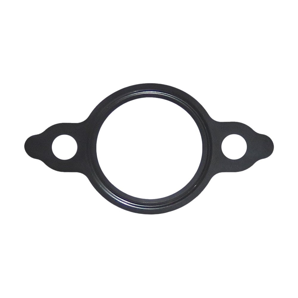 CABSTAR F24M - RVI MAXITY - LEMA 66 - GUARNIZIONI / GASKETS