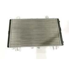 RADIATORE, RAFFREDDAMENTO MOTORE - THERMAL SYSTEM