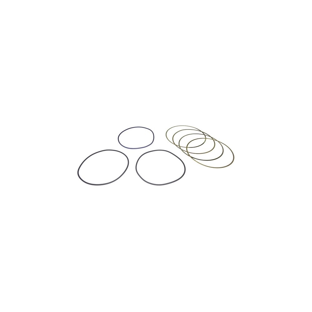 KIT OR+SPESS. CANNA CIL. CURSOR 13/ - LEMA 66 - GUARNIZIONI / GASKETS