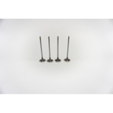 F1CE0481A - DAILY 35C14 - 3.0 - Valvula MEC