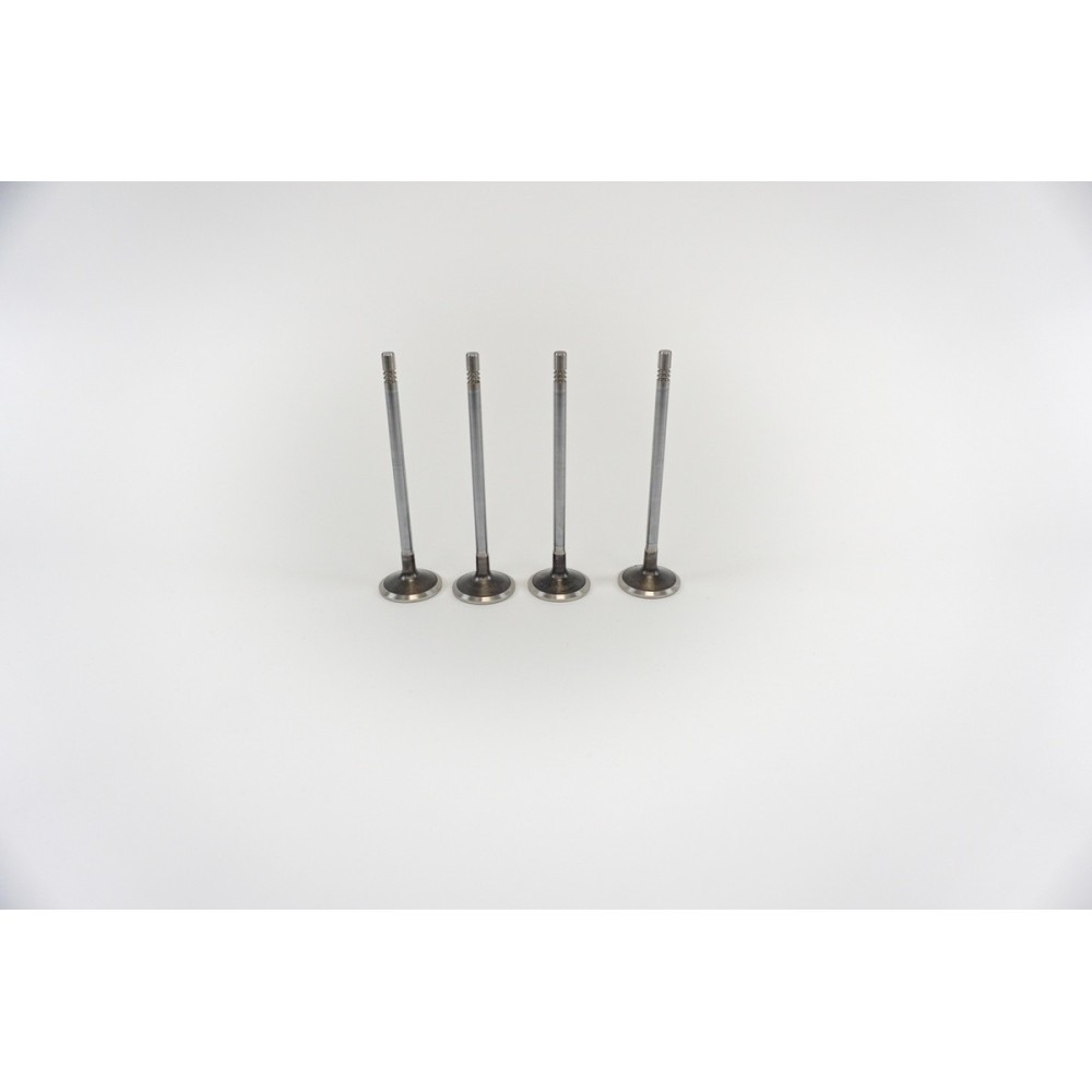 F1CE0481A - DAILY 35C14 - 3.0 - Valvula MEC