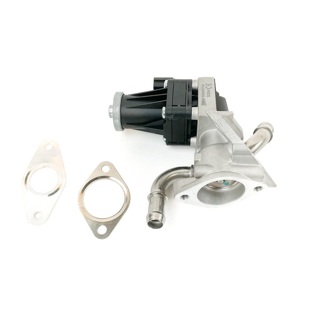 TRANSIT 2.2 - 4HG/4HH/4HJ/PGF/QWFA - EGR